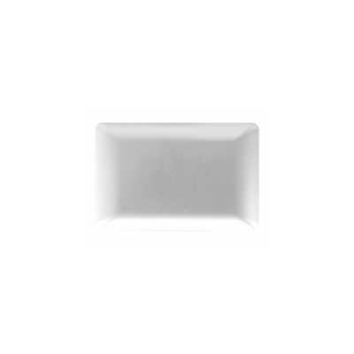 PLACA CIEGA PLATEADO 20PC