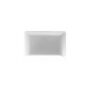 PLACA CIEGA PLATEADO 20PC